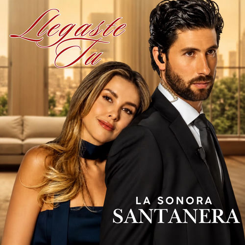 Portada de Llegaste Tu