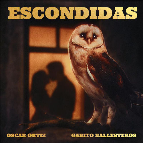 Portada de ESCONDIDAS
