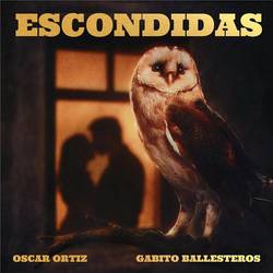 Portada de ESCONDIDAS