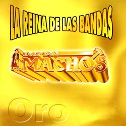 Portada de La reina de las bandas Vol. I
