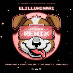 Portada de Perra (Remix)