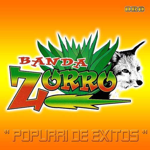 Portada de Popurrí de Éxitos (Versión Especial)