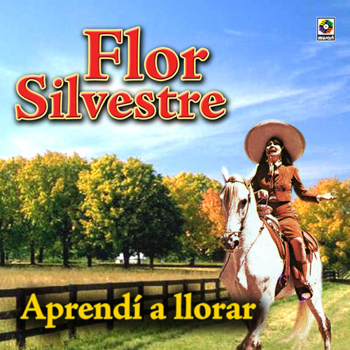 Portada de Aprendí A Llorar