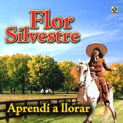 Portada de Aprendí A Llorar