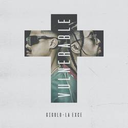 Portada de Vulnerable