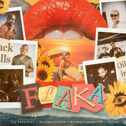 Portada de Flaka