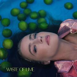 Portada de Waste of Lime