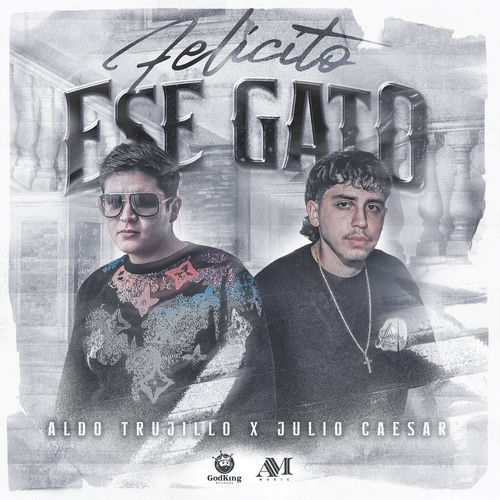 Portada de Felicito a Ese Gato