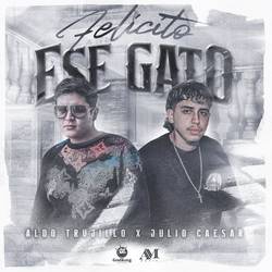Portada de Felicito a Ese Gato