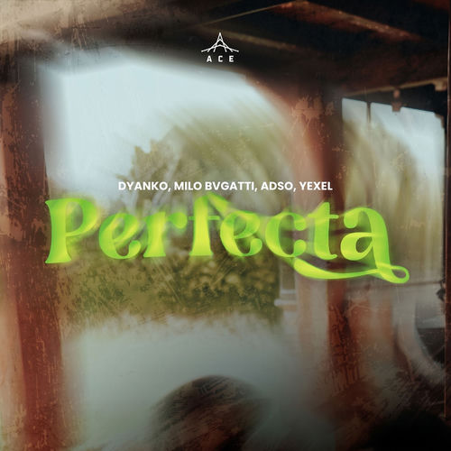 Portada de PERFECTA