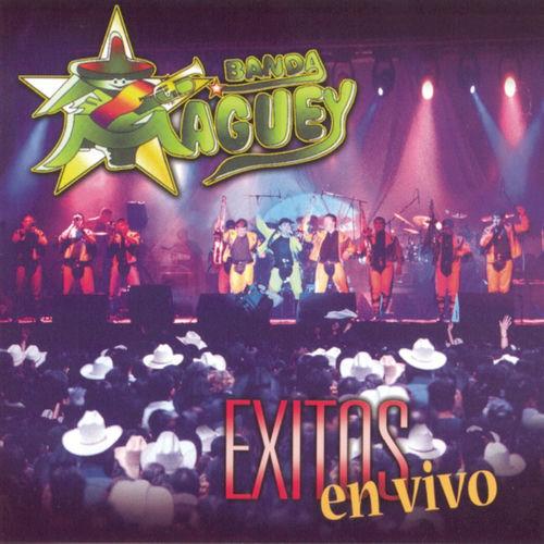 Portada de Exitos En Vivo
