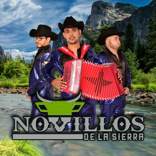 Portada de En vivo Fiesta Privada