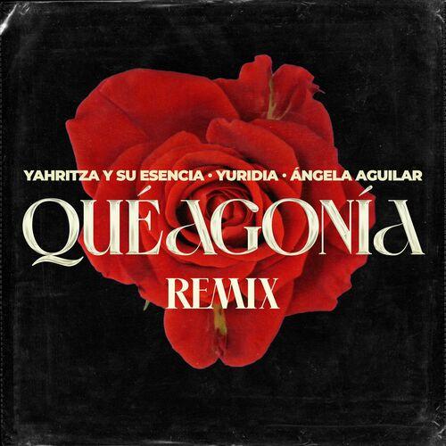 Portada de Qué Agonía (Remix)