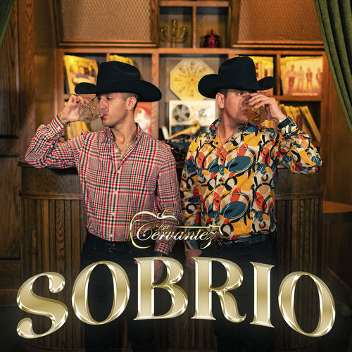 Portada de Sobrio