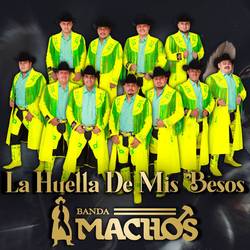 Portada de La Huella de Mis Besos