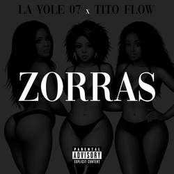 Portada de Zorras