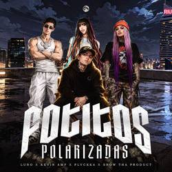 Portada de FOTITOS POLARIZADAS