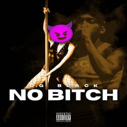 Portada de No Bitch