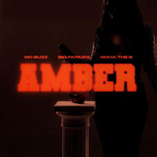 Portada de AMBER