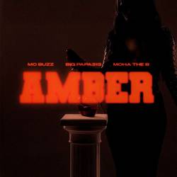 Portada de AMBER