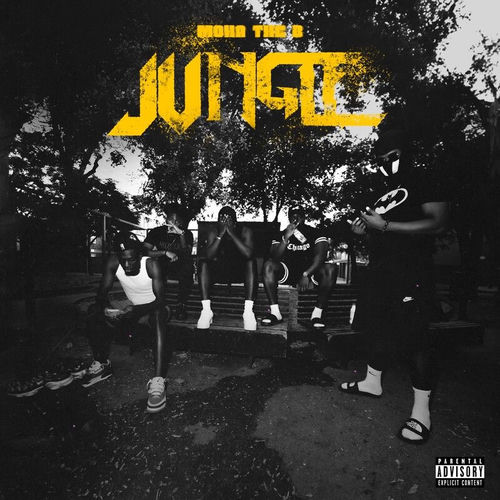 Portada de JUNGLE