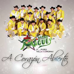 Portada de A Corazón Abierto