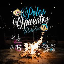 Portada de POLOS OPUESTOS REMIX (BLESSD VERSION)