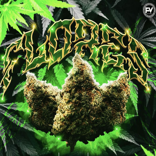 Portada de Flores