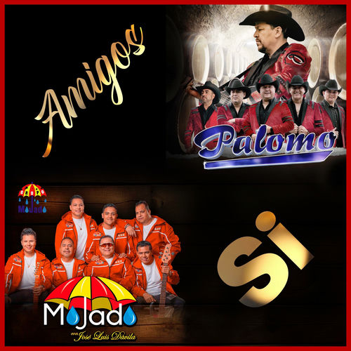 Portada de Amigos Si