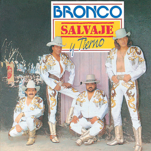 Portada de Salvaje Y Tierno