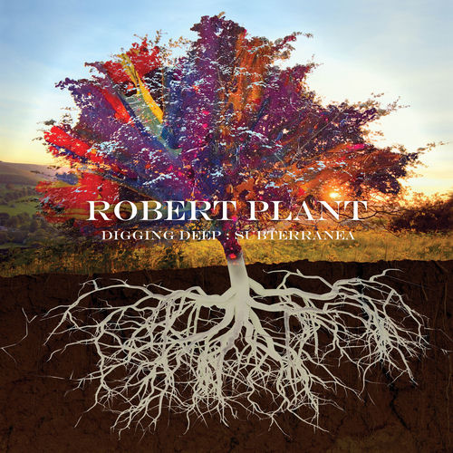 Portada de Too Much Alike (with Patty Griffin)