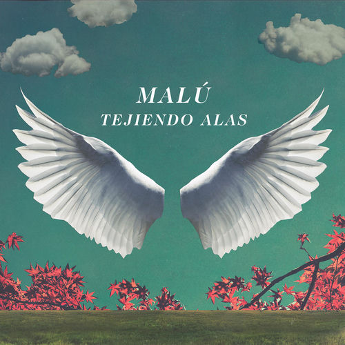 Portada de Tejiendo Alas