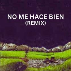 Portada de No Me Hace Bien (Remix)