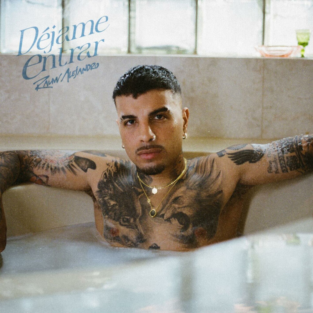 Portada de Déjame Entrar
