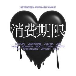 Portada de SEVENTEEN JAPAN 4TH SINGLE [Shohikigen]
