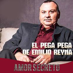 Portada de Amor Secreto