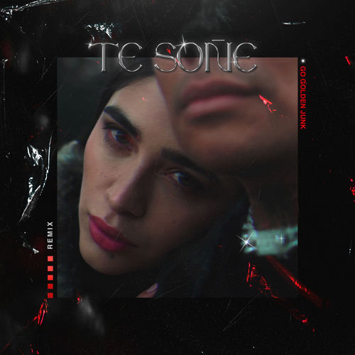 Portada de Te Soñé (Remix)