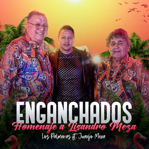 Portada de Enganchados Homenaje a Lisandro Meza: El Siete / La Cumbia del Amor / El Pasado ya Pasó / Vestida de Colores