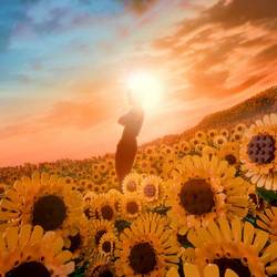 Portada de Girasol