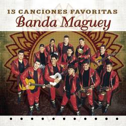 Portada de 15 Canciones Favoritas