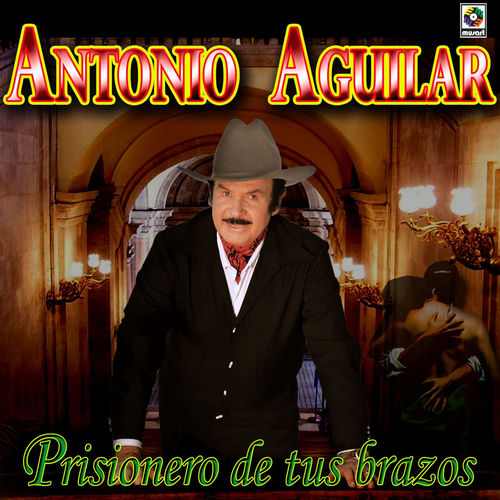 Portada de Prisionero de Tus Brazos