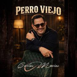Portada de Perro Viejo