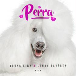 Portada de Perra