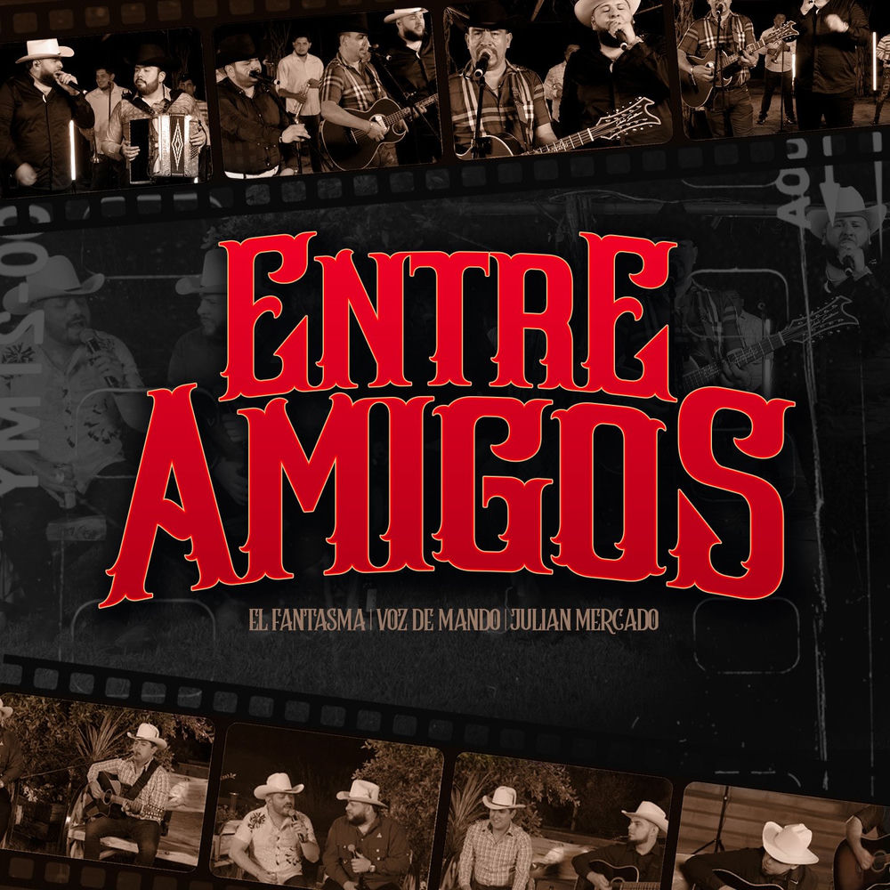 Portada de Gracias Porque Volviste
