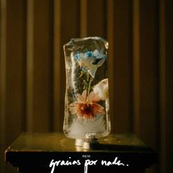 Portada de Gracias por Nada