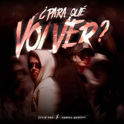 Portada de Para Qué Volver
