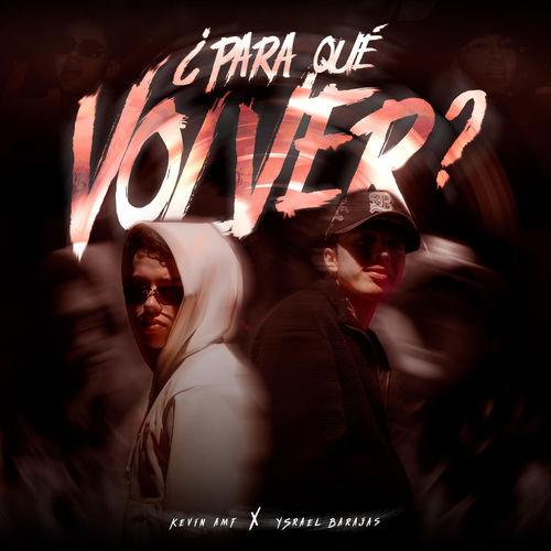 Portada de Para Qué Volver