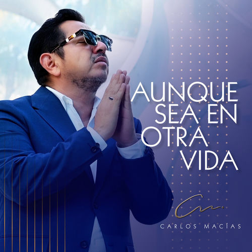 Portada de Aunque Sea En Otra Vida