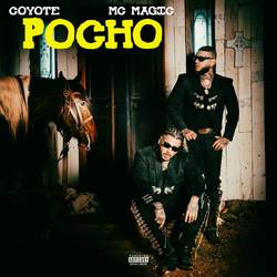 Portada de Pocho
