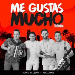 Portada de Me Gustas Mucho (Remix)
